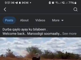 Maroodi