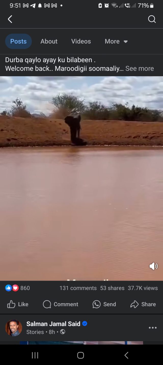 Maroodi